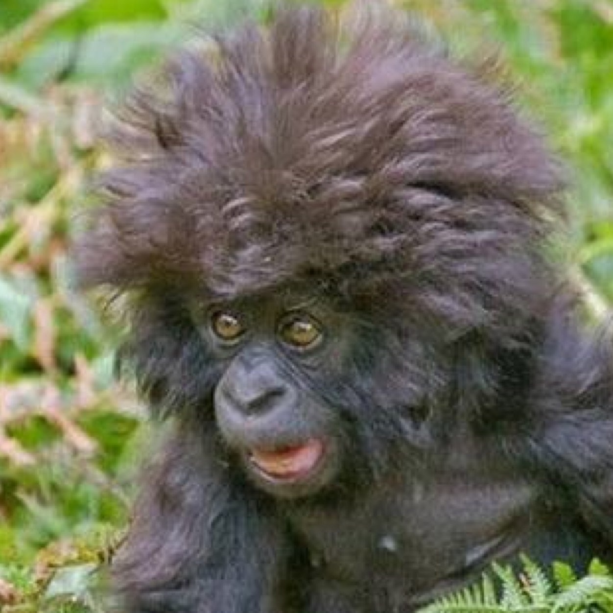 ShannL_15's profile picture. 