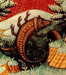 #Scorpio Tweeting For #Scorpios Everywhere !