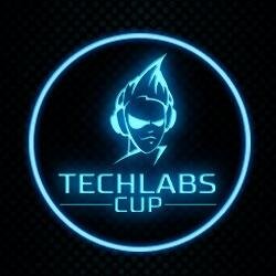TECHLABS.CUP - международный кибер-фестиваль, в рамках которого проходят чемпионаты по киберспорту и оверклокингу. Турниры проводятся в четырех странах!