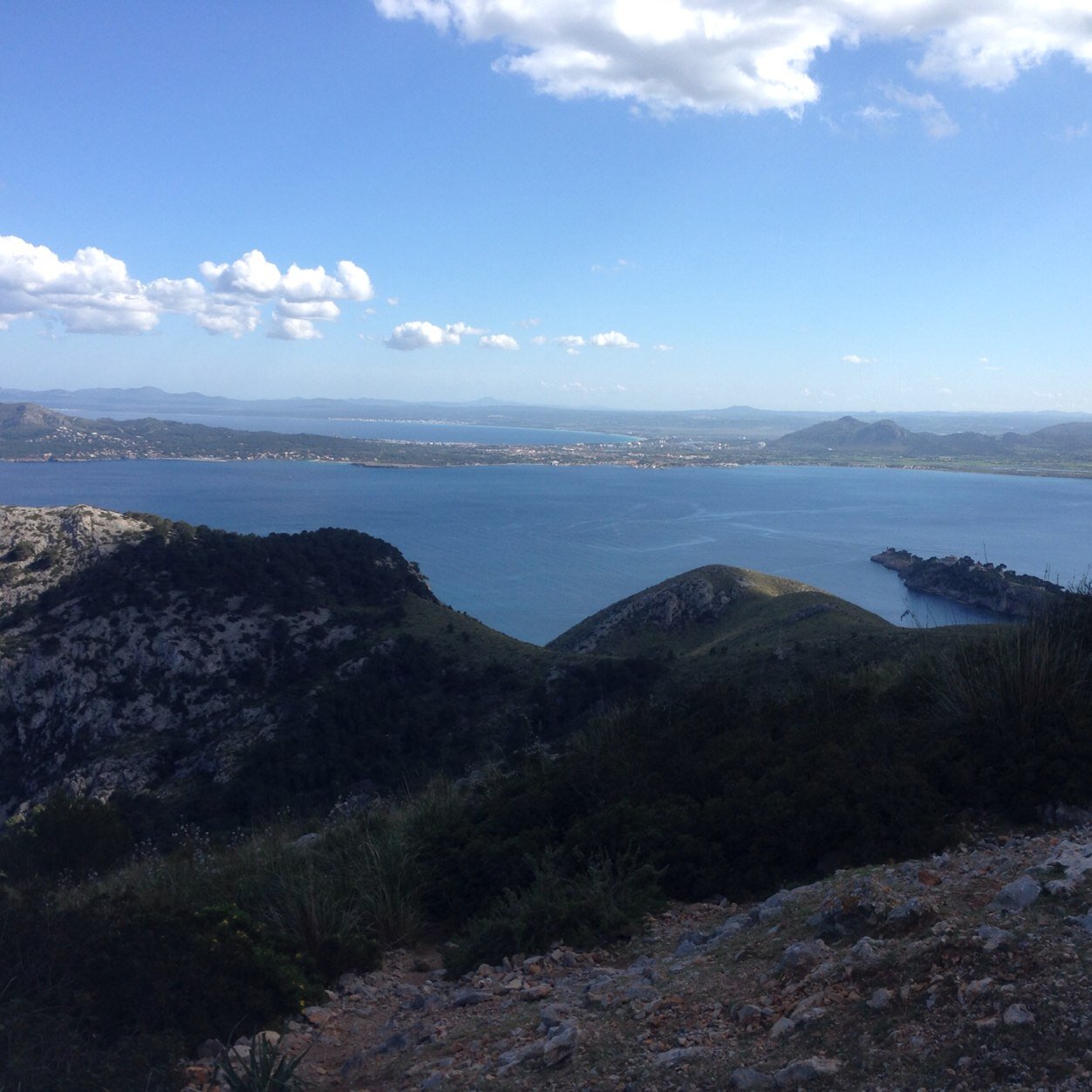 aidantri's profile picture. 