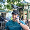 Thomas Hall - @ThomasYHall - Twitter