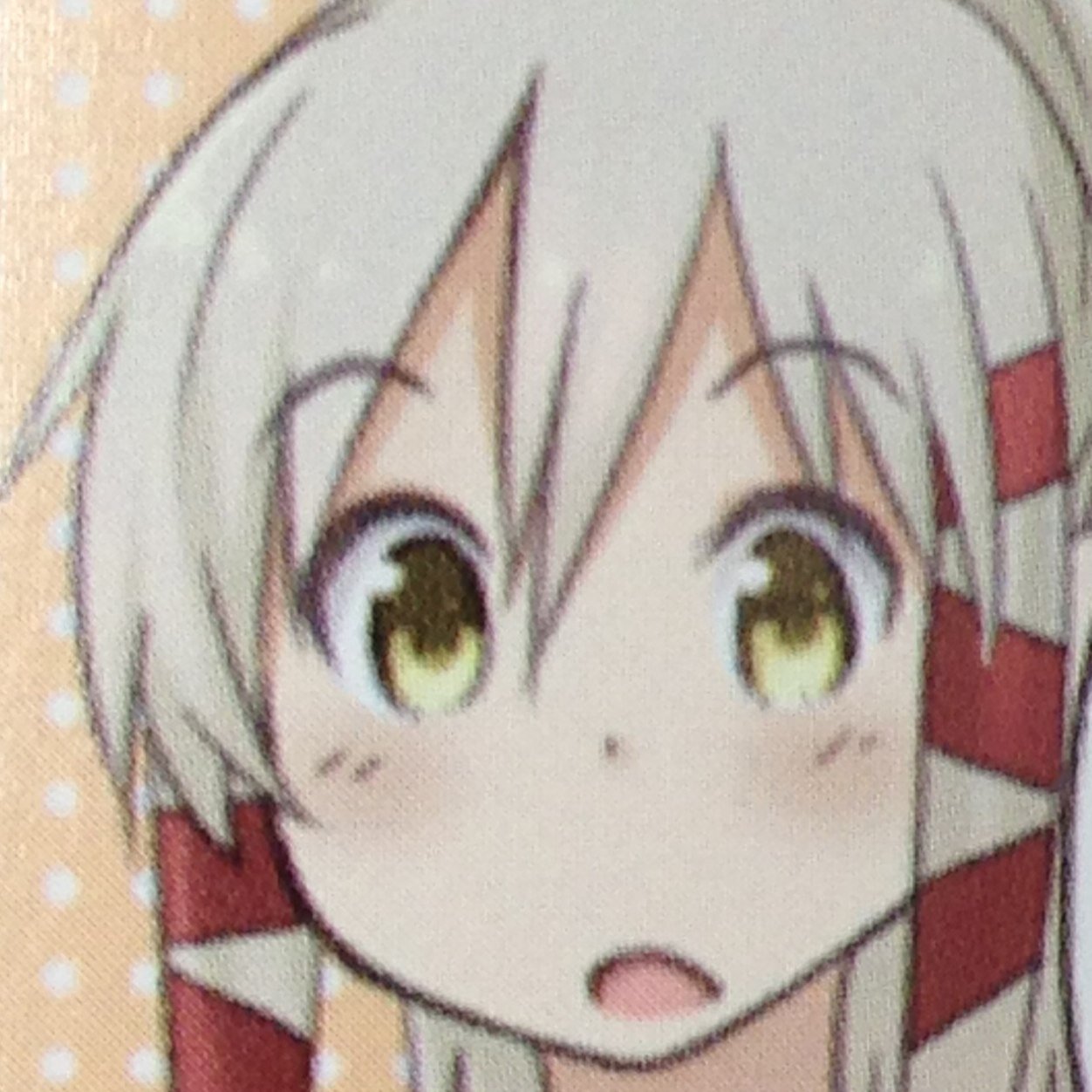 ヲタな雰囲気全開ですが(´･_･`)
