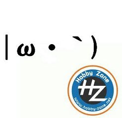 HZhamada65 Profile Picture