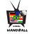 Canal_Handball's profile image