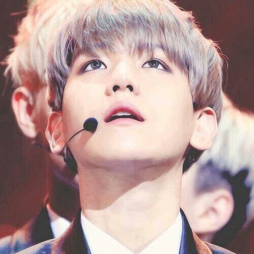 (DARKNESS IN MY EYE BUT LIGHT UP IN THE SKY)


EXOSTAN,SONES,BLACKJACK,VIP,Aff(x)tion,Shawol,E.L.F,4NIA ,Pink Panda,Cassiopeia,ToppKlass