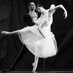 Ellison Ballet (@ellisonballet) Twitter profile photo Ellison Ballet (@ellisonballet) Twitter profile photo