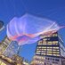 Janet Echelman (@janetechelman) Twitter profile photo Janet Echelman (@janetechelman) Twitter profile photo