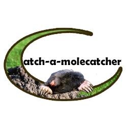 UkMoleCatcher's profile picture. Catch-a-molecatcher is a directory listing of traditional UK molecatchers allowing visitors to find their local molecatcher to rid them of mole problems.