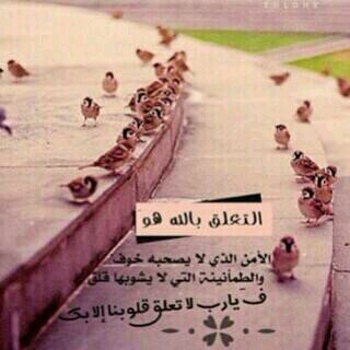 اللهم إغفرلي ولوالدي وللمسلمين والمسلمات الأموات منهم والأحياء **  ''