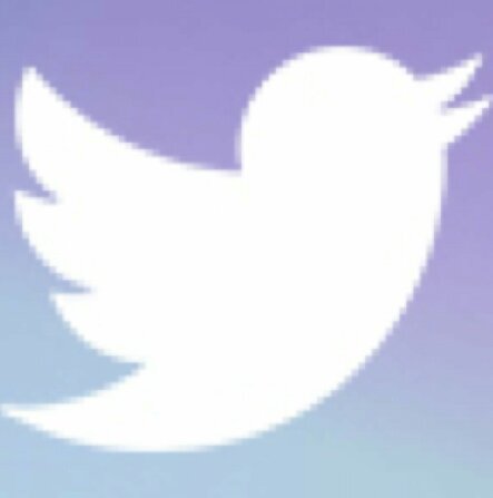 This is the #1 source for gaining followers. just follow me and you will gain.