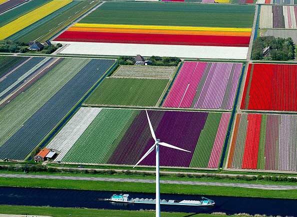 mertsuthar55's profile picture. 