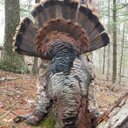 Spencer Mason - @masonater50 - Twitter