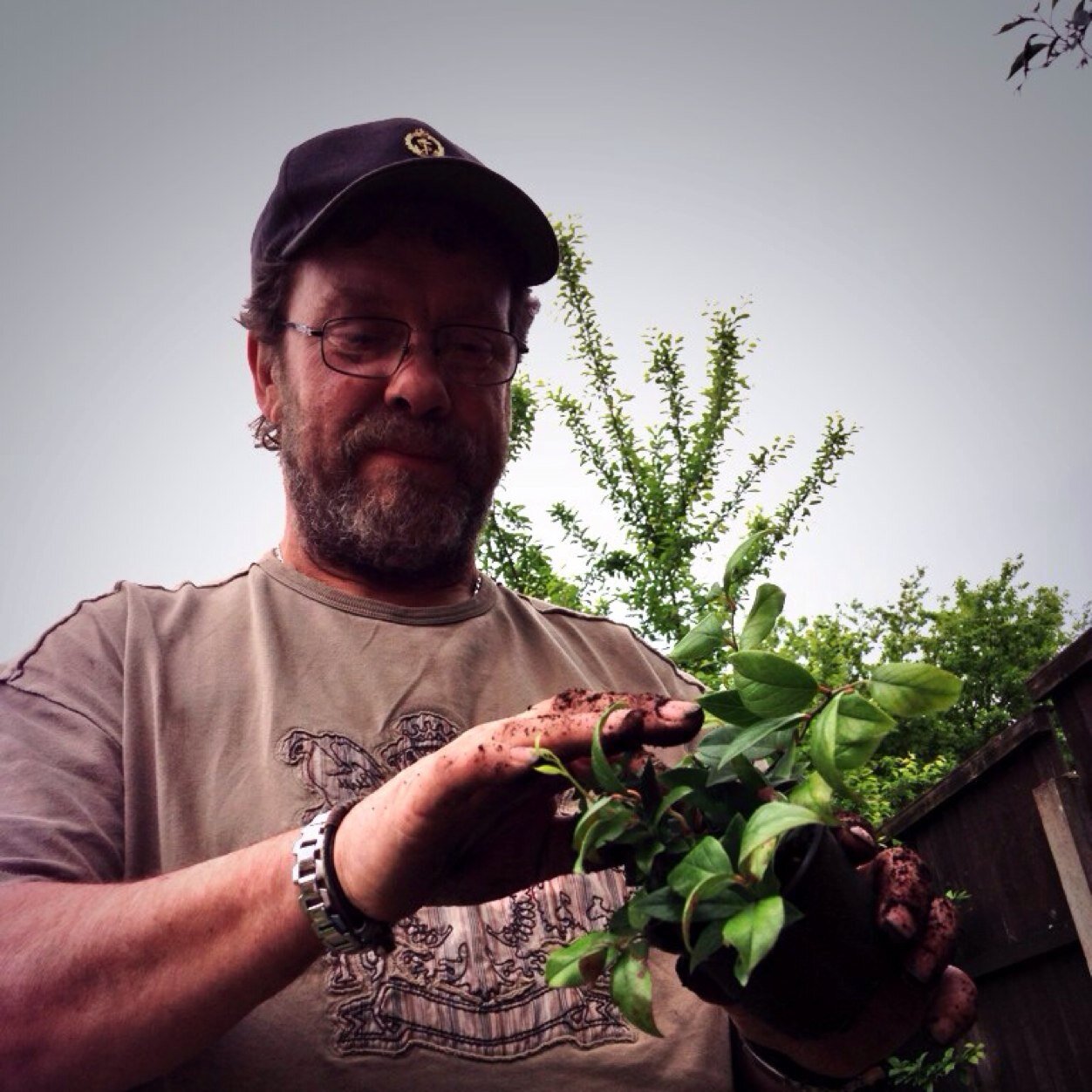 Warrington & Cheshire Gardener at your service! Local and Reliable - Gardens, Landscapes, Design, Maintenance and Contracts | Contact: warri.gardener@gmail.com