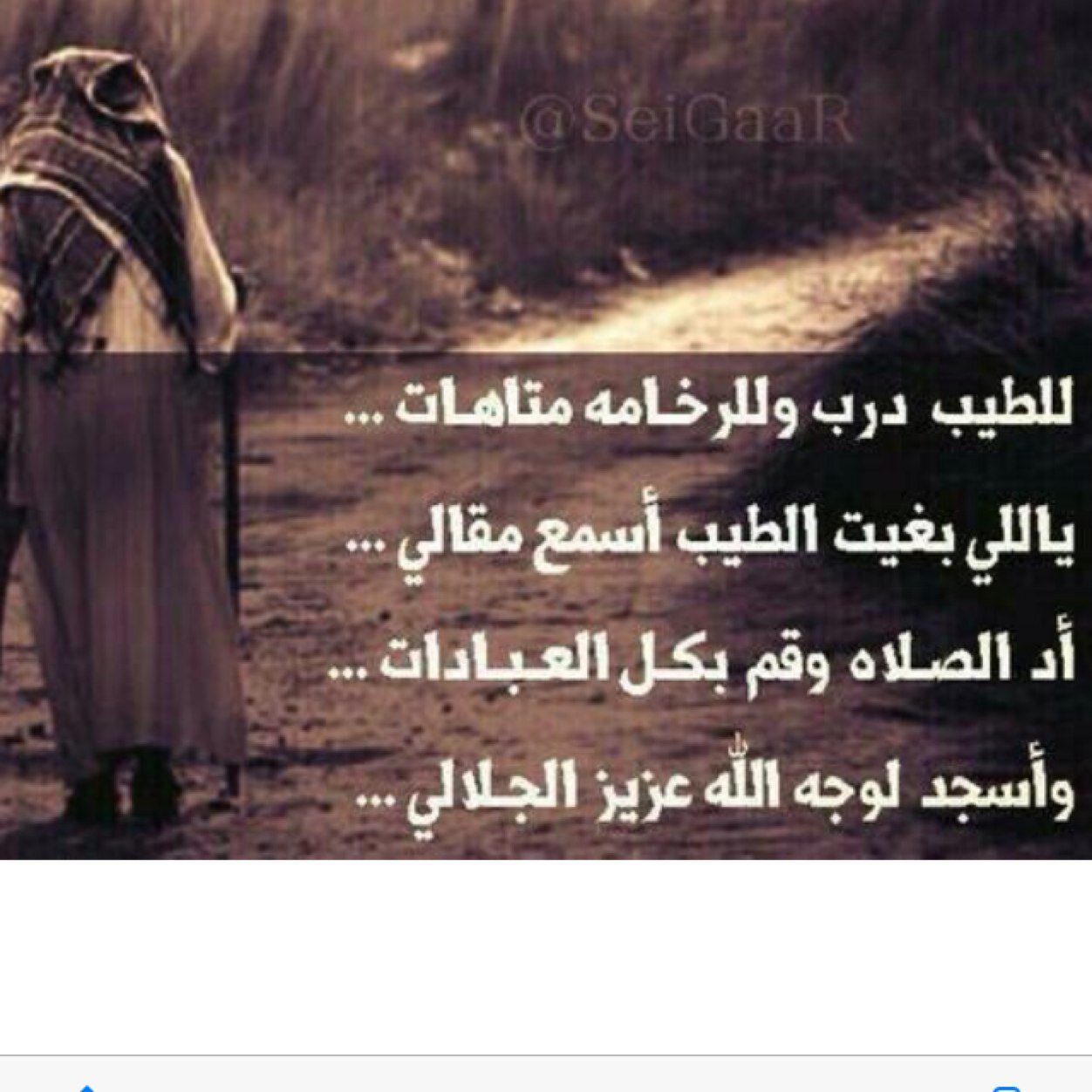 وتطلب منى أن اغفر لك ذلة
لتعود بنا الأيام لماضيها
لا لن أعود لقصة كان
الغدر يبدؤها والخيانة تنهيها