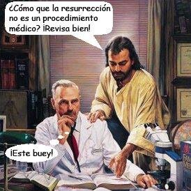 viericksteven's profile picture. 