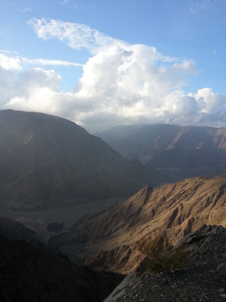 noreleman10's profile picture. 