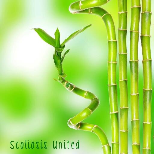 Scoliosis United is a way to bring everyone together as one in the scoliosis community and also promote world wide awareness.