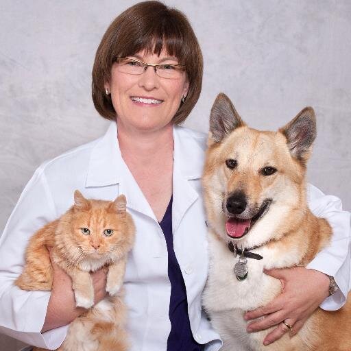 I am a veterinarian, speaker and author of Coated With Fur: A Vet's Life and Coated With Fur:  A Blind Cat's Love.
