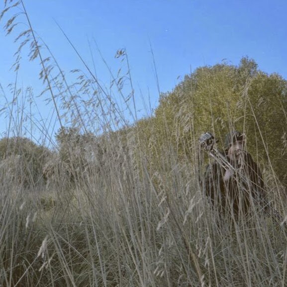 marco_rapaccini's profile picture. 