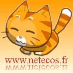 NetEcos : Codes de réduction, Avis de consommateurs, Guide et astuces pour acheter moins cher, Sites de jeux et astuces, Forum convivial...