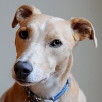 Cheryl Lawther (@lawtherc) 's Twitter Profile Photo Cheryl Lawther (@lawtherc) 's Twitter Profile Photo