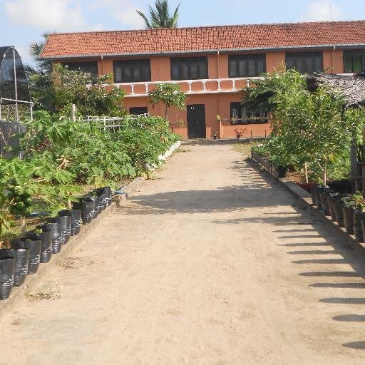 DATCPAL's profile picture. welcome to DATC/PALAMUNAI