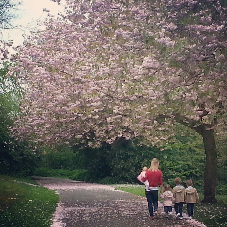 hjmullen's profile picture. 