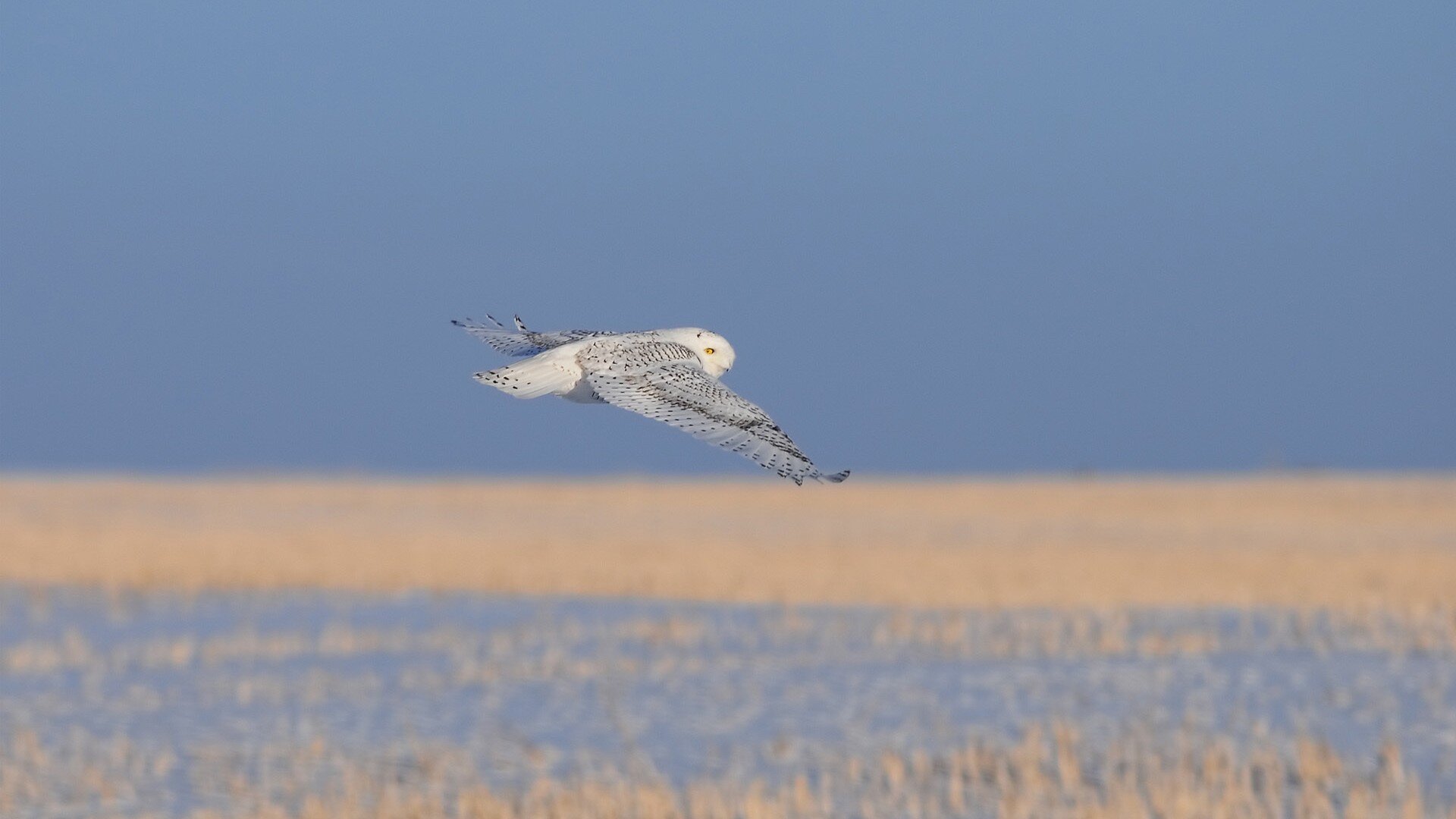 quima_ecel1971's profile picture. 