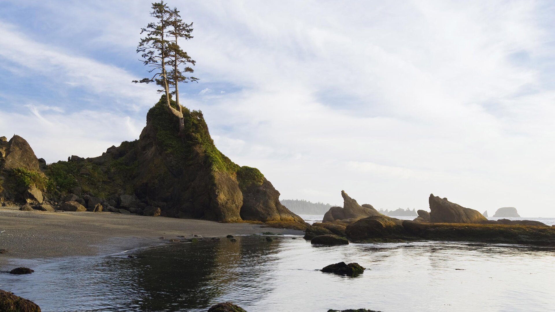 nare_cedli1972's profile picture. 