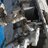 tioto_vecus1973's profile image