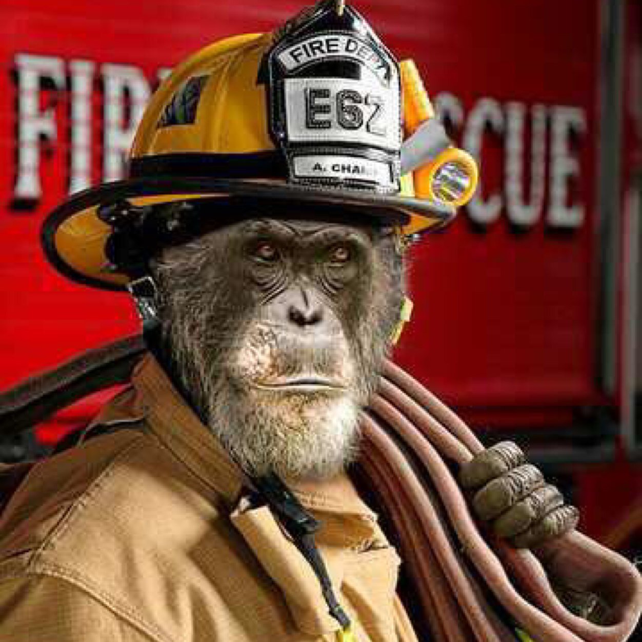 Hosemonkeyscott's profile picture. 