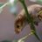 dayrio_leti1979's profile image
