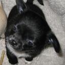 Ginette Houle - @cricriwallender - Twitter