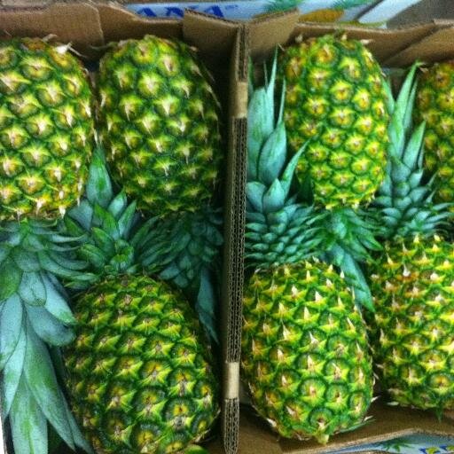 Somos una empresa exportadora de fruta fresca, principalmente piña Golden de Costa Rica. //
We sell fresh fruit, our mainly product is pineapple Golden Variety