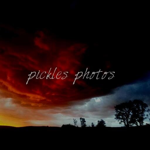 kayla_jesz's profile picture. 