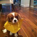 Sangeetha kumar - @sangeethabk89 - Twitter