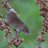 unel_neupul1974's profile image