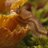 tourti_hardchi1's profile image