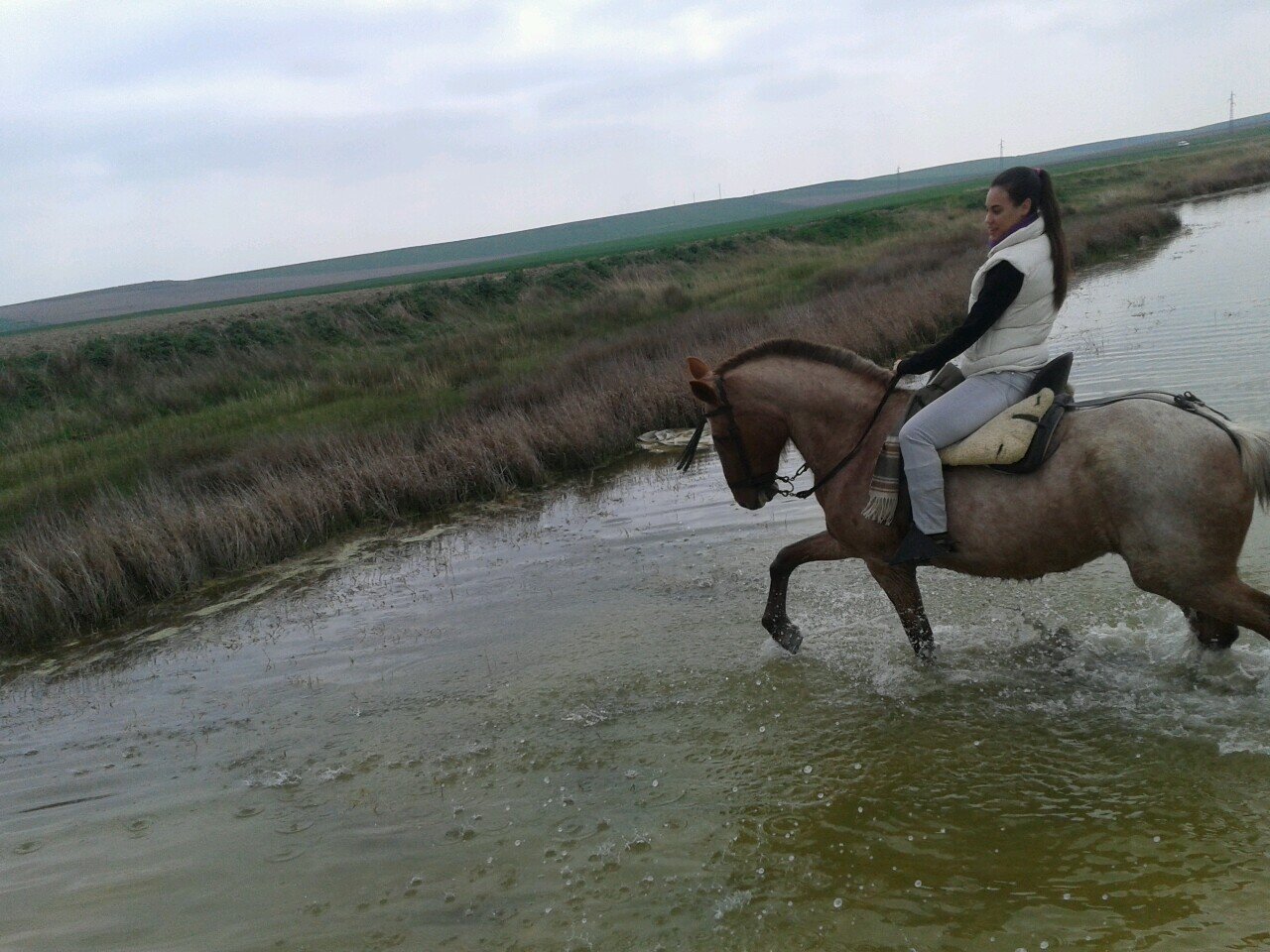 laurycoca's profile picture. 