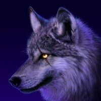 Rafal Kucab (@rafalkucab) 's Twitter Profile