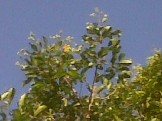 nandcantik14's profile picture. Please follow @YuliaAriswati