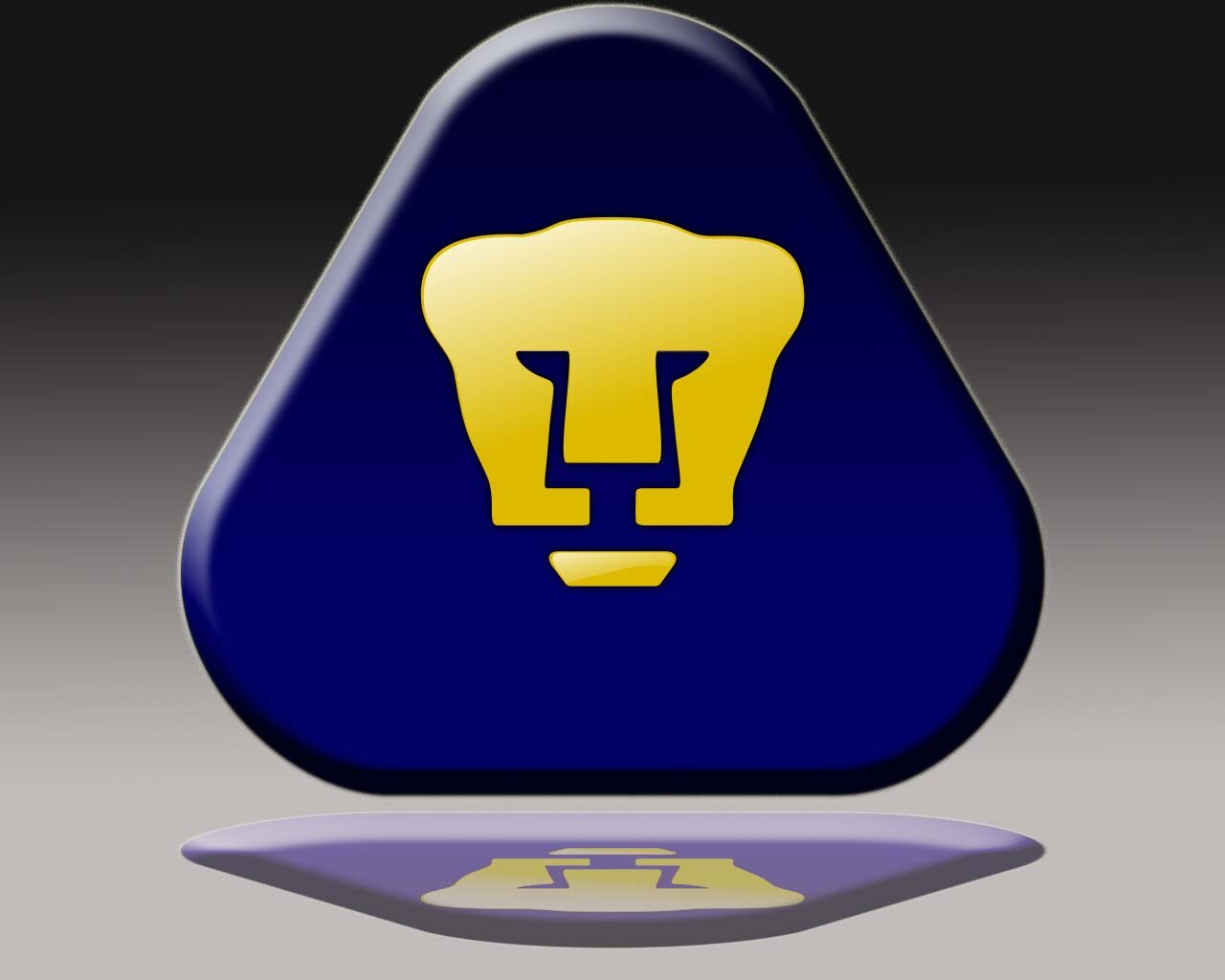 Universitario azul y oro en lo profesional, académico y deportivo, felíz de compartir y adquirir conocimiento