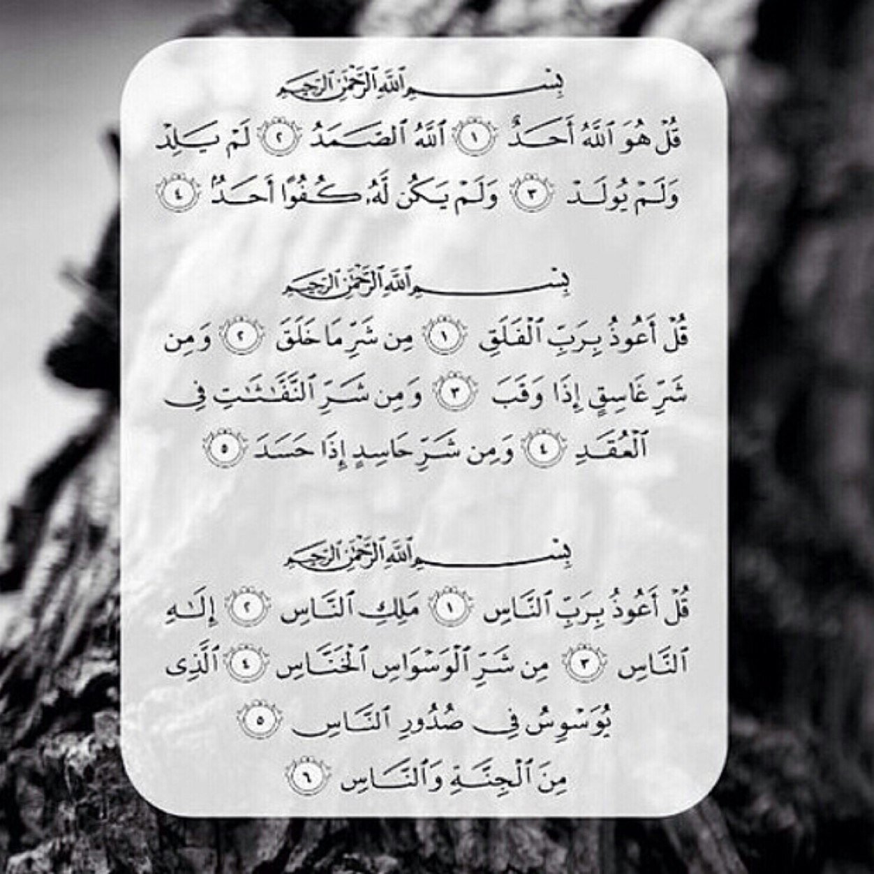 صدقه جاريه للمرحومه باذن الله طرفه الشويعر