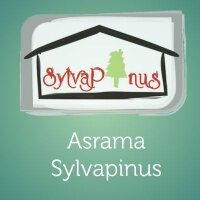 Asrama SylvapinusIPB (@sylvapinusipb) 's Twitter Profile