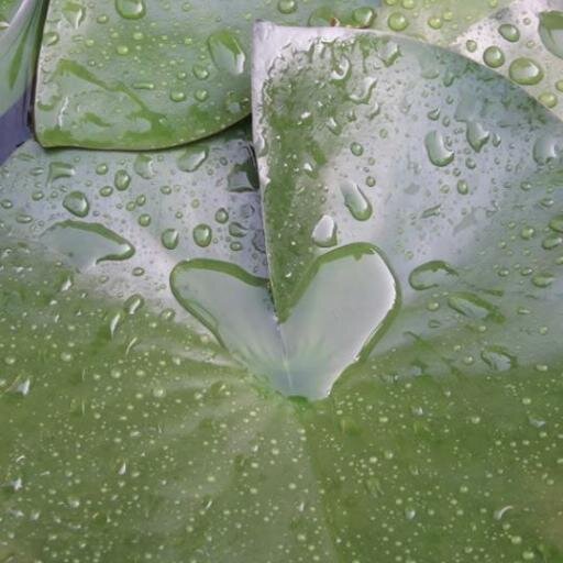 GodTweets's profile picture. Beloved child of God