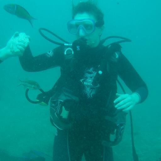 GibsonCarrie's profile picture. Likes entertaining people, preferably laughter to sadness. Enjoys being creative in various crafts. Originally from Nottingham.