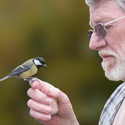Just mad about birds