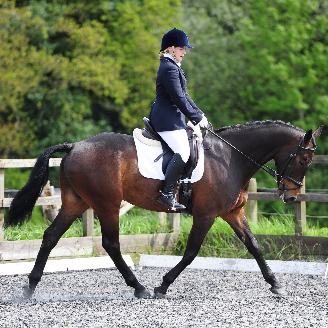 Equine lecturer and course tutor and Access to HE course tutor @UC_sparsholt, have two young boys and a passion for amateur eventing.