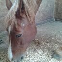 Kathleen Lock - @kgllock - Twitter