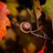 trelil_nare1977's profile image